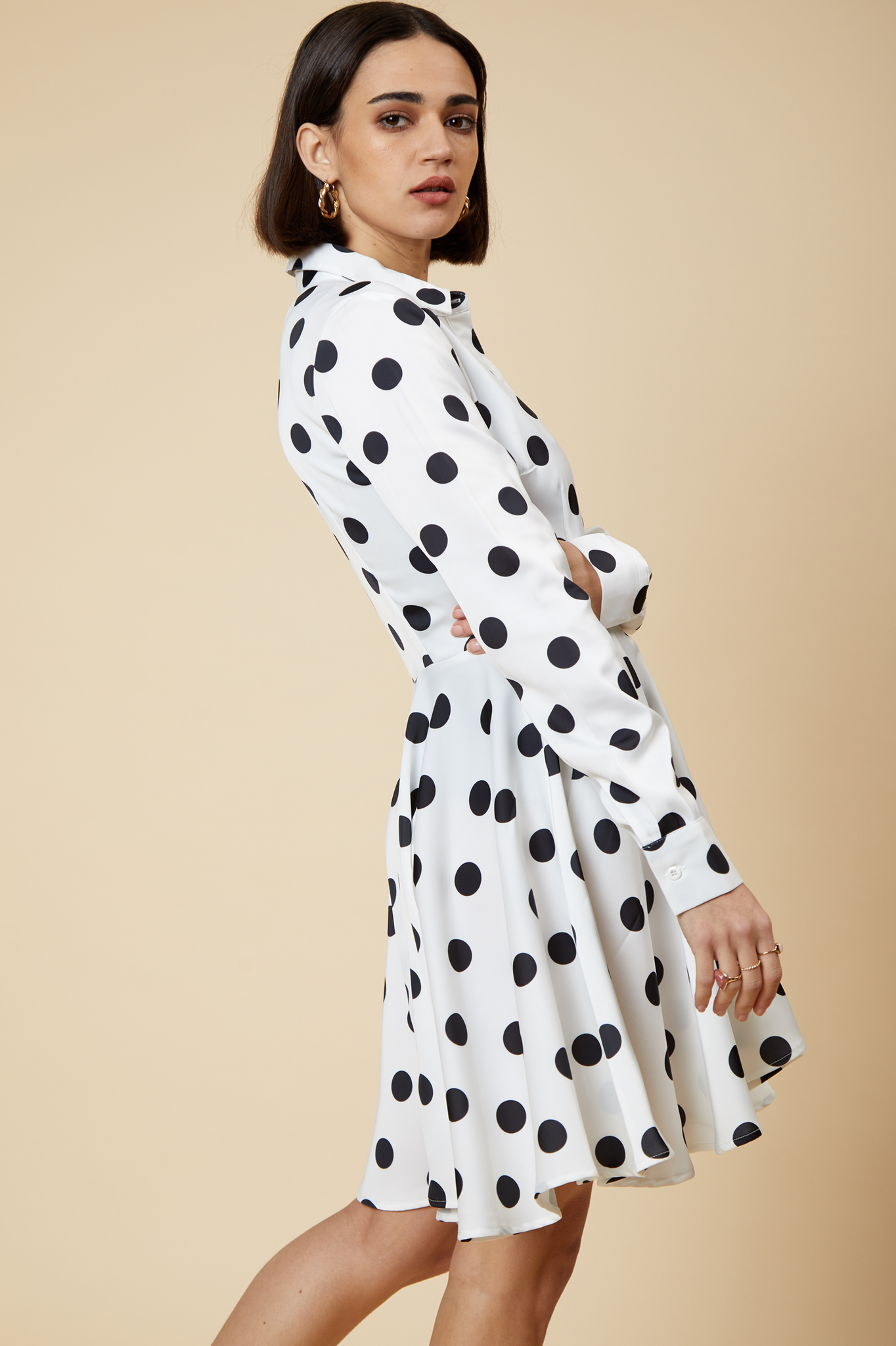 Polka Dot Skater Shirt Dress